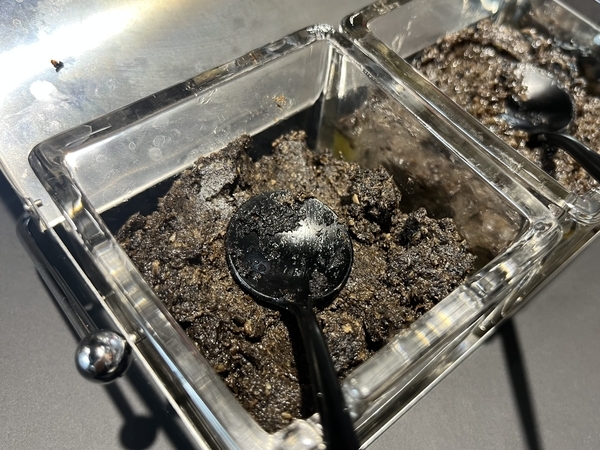 森山大道 三沢の犬のお皿にのった黒と白カレー 味変の薬味