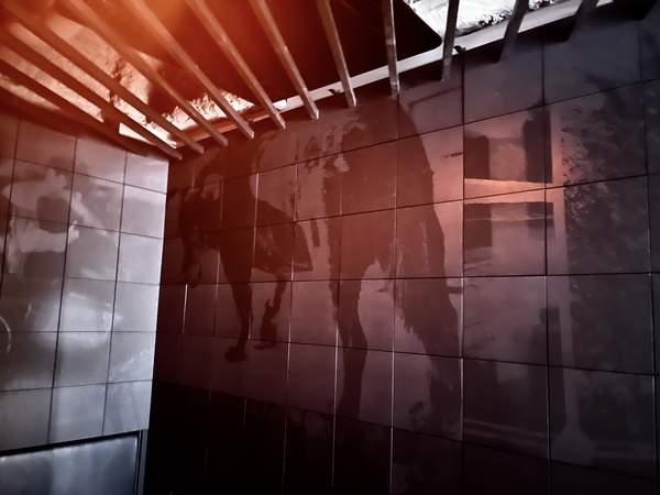 森山大道の三沢の犬が浮かび上がる 赤と黒の小部屋