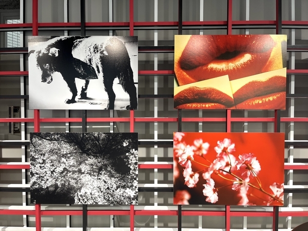 森山大道と蜷川実花のコラボカフェ 原宿アンノウンカフェギャラリー レビュー