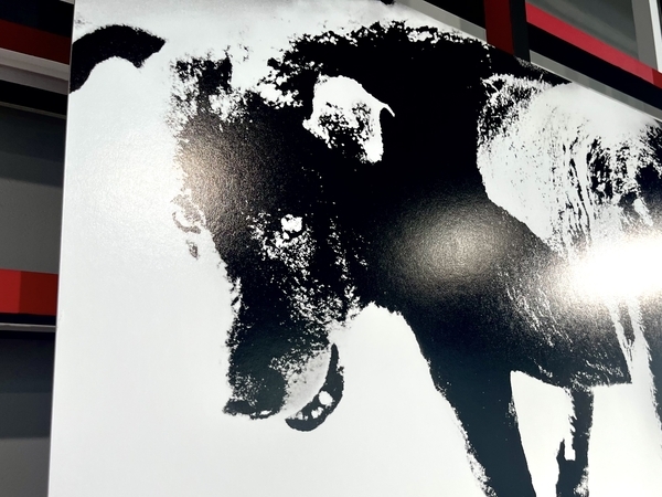 森山大道の三沢の犬