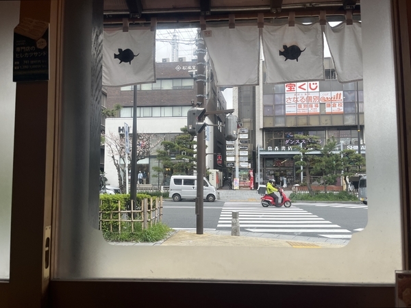 鎌倉とんかつ あら珠の店内から窓の外の眺め