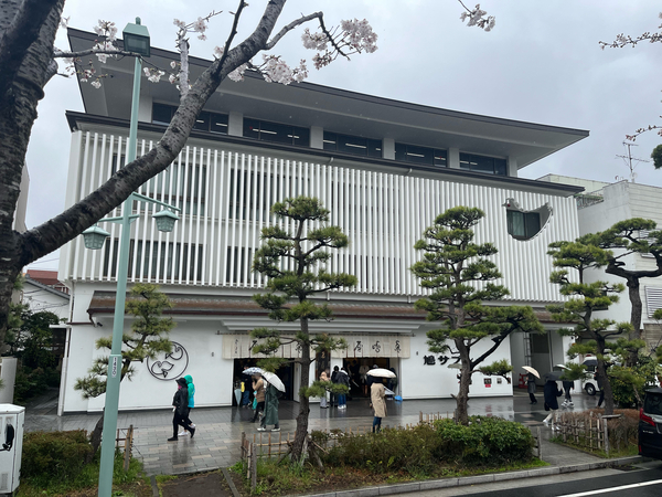 鎌倉の豊島屋本店の外観と桜