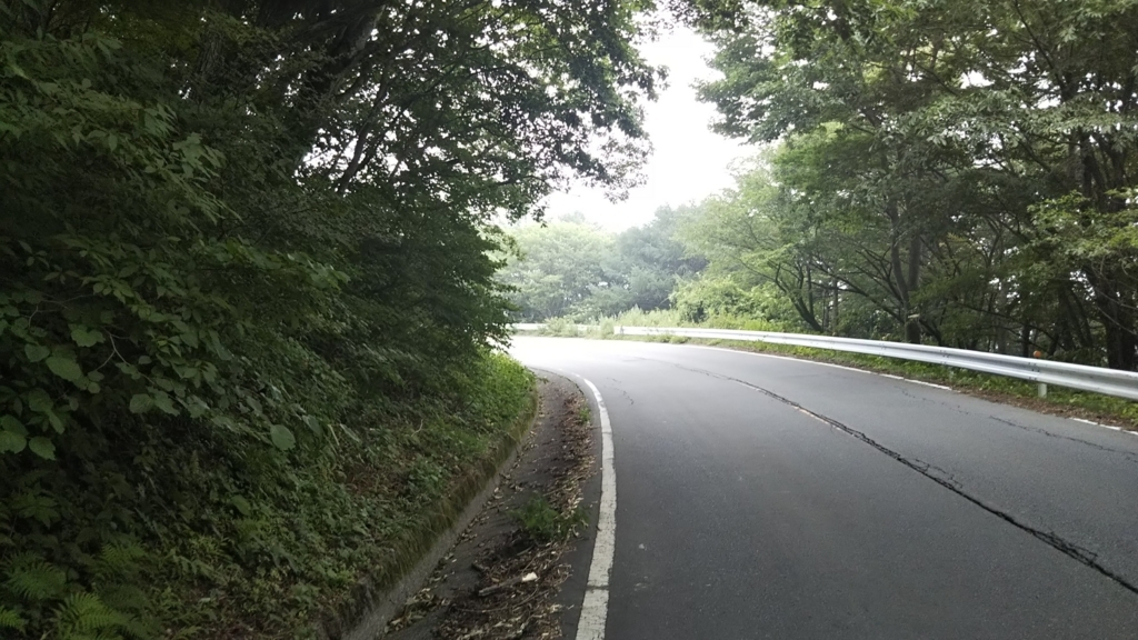f:id:Rally250:20180809000606j:plain f:id:Rally250:20180809000606j:plain