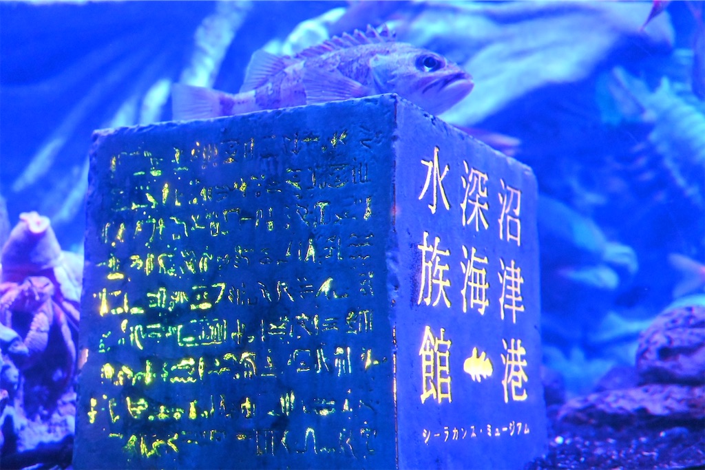 f:id:Ram_2012:20240730073127j:image f:id:Ram_2012:20240730073127j:image
