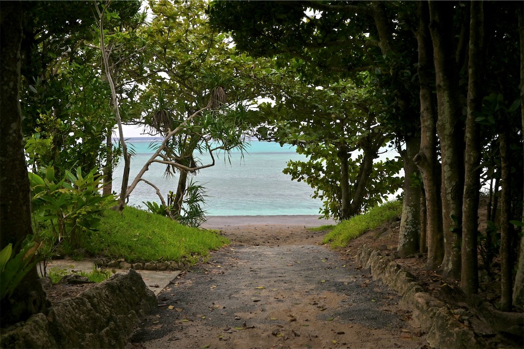 f:id:Ram_2012:20241123083912j:image f:id:Ram_2012:20241123083912j:image
