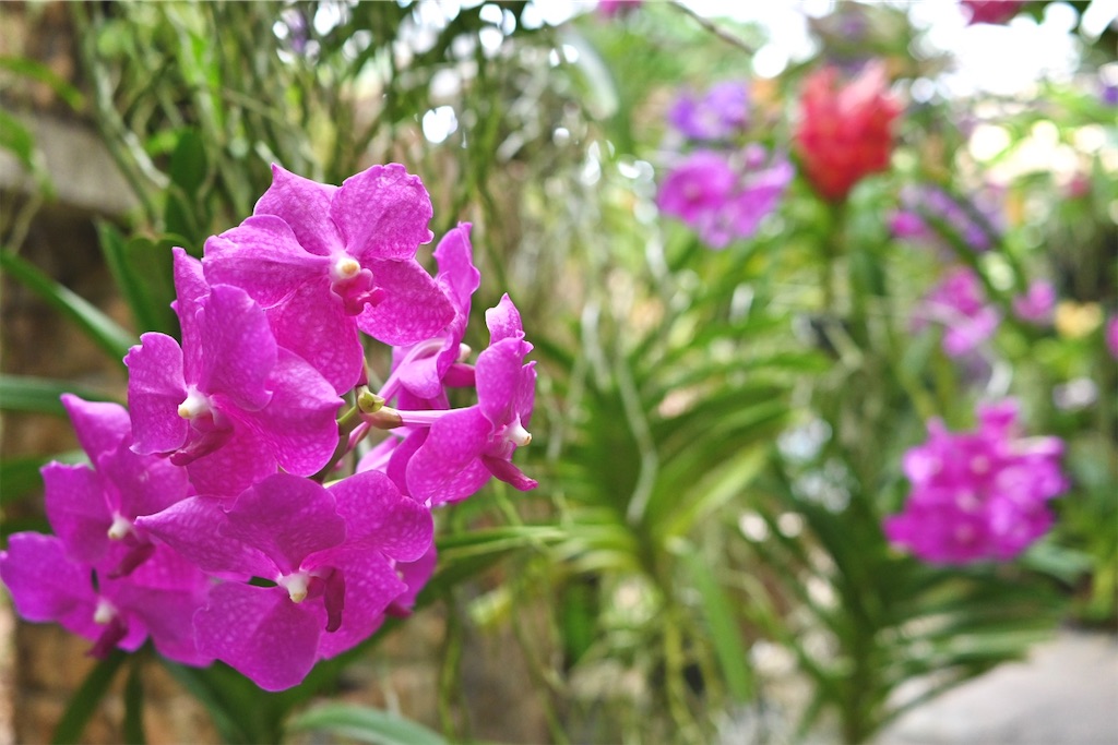 f:id:Ram_2012:20241123220940j:image f:id:Ram_2012:20241123220940j:image