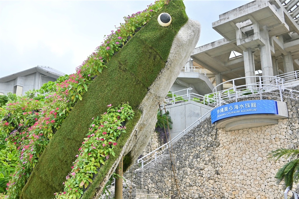 f:id:Ram_2012:20241123221347j:image f:id:Ram_2012:20241123221347j:image