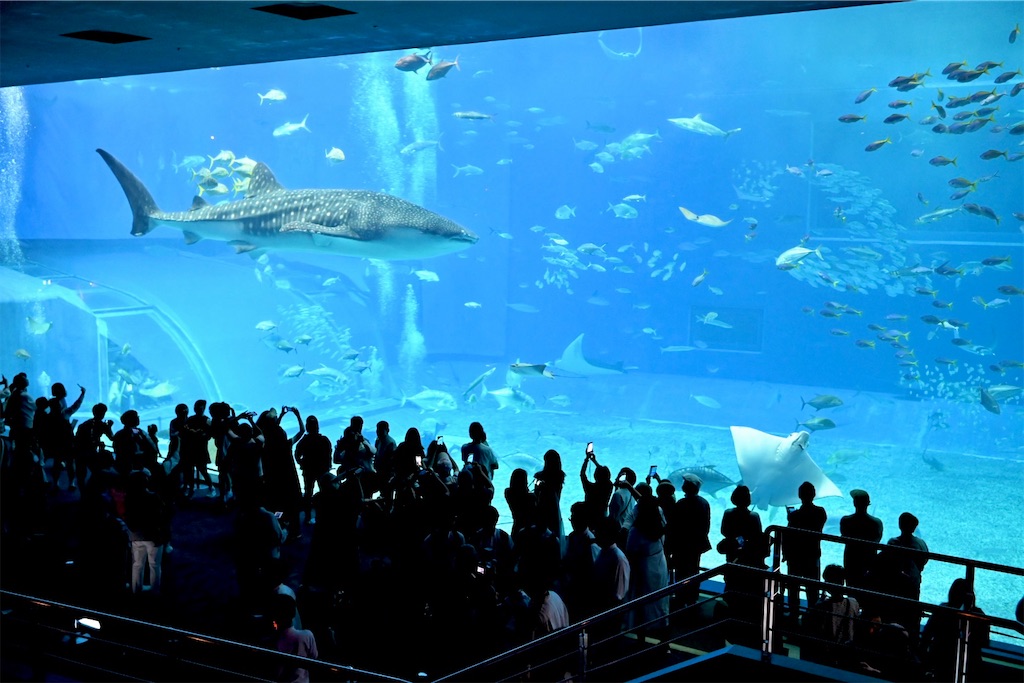 f:id:Ram_2012:20241123221431j:image f:id:Ram_2012:20241123221431j:image