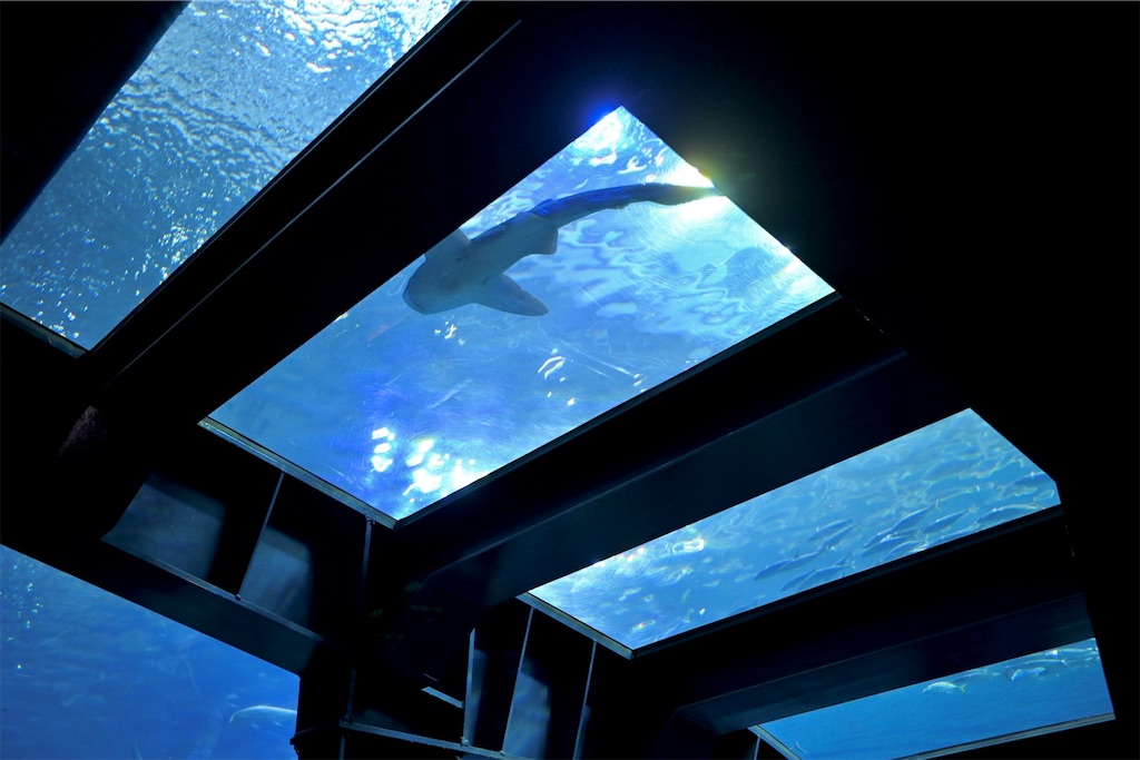 f:id:Ram_2012:20241123221748j:image f:id:Ram_2012:20241123221748j:image