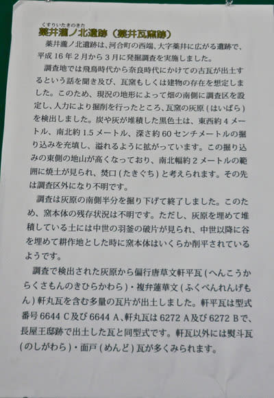 『偏行唐草文様』に心ときめく 平瓦（長屋王用瓦の不良品、窯跡出土） /奈良にて - 乱鳥の書きなぐり はてなブログ