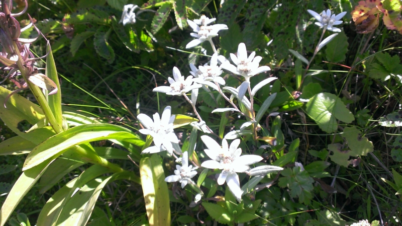f:id:Rangalhu:20140720123021j:plain