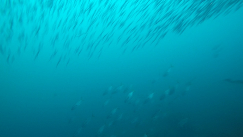 f:id:Rangalhu:20150725141942j:plain