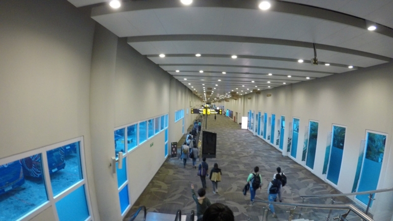 f:id:Rangalhu:20180512142301j:plain