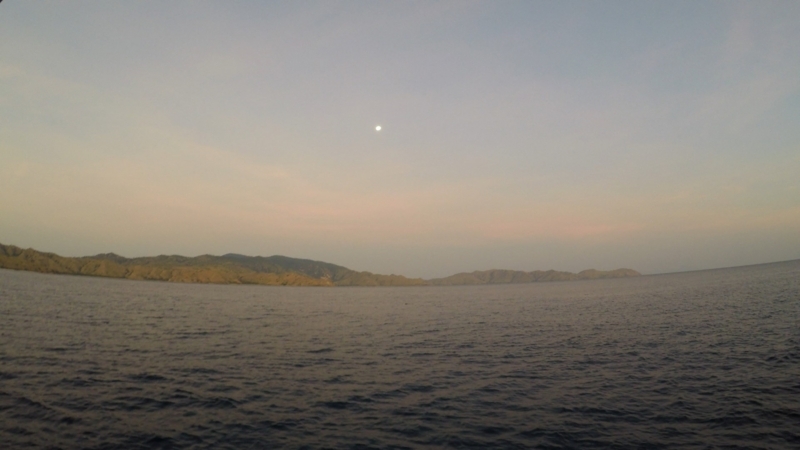 f:id:Rangalhu:20180527091151j:plain f:id:Rangalhu:20180527091151j:plain