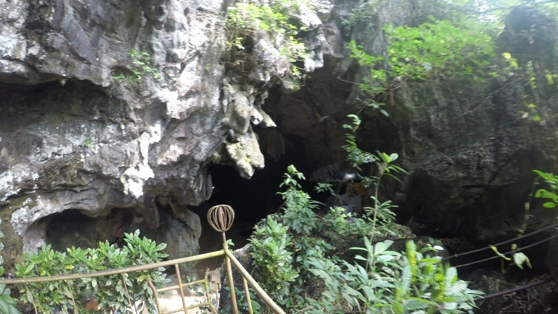 f:id:Rangalhu:20190126141257j:plain f:id:Rangalhu:20190126141257j:plain