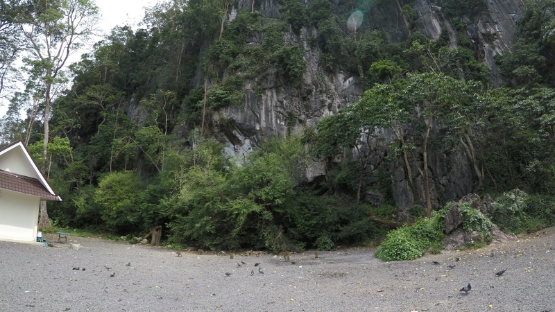 f:id:Rangalhu:20190126141712j:plain f:id:Rangalhu:20190126141712j:plain