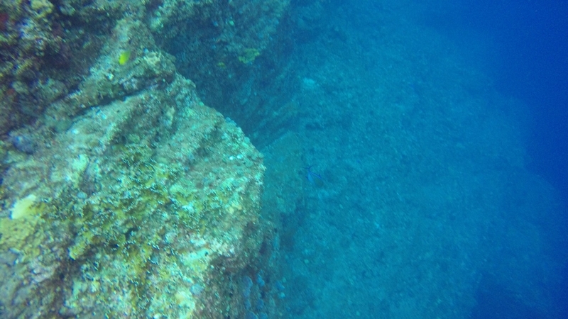 f:id:Rangalhu:20190519132603j:plain