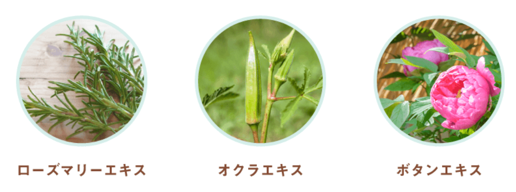 f:id:Ranran:20200624102840p:plain