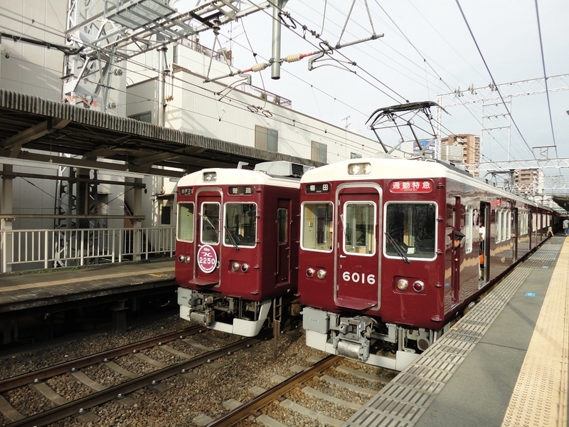 イメージ 7