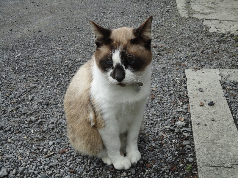 イメージ 3