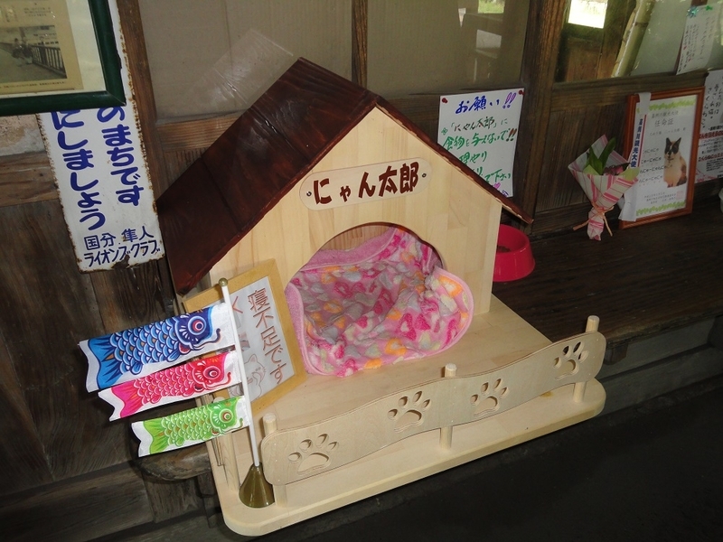 イメージ 4