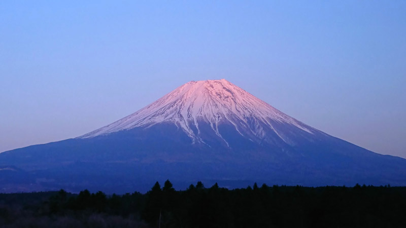 f:id:Raru:20200321180243j:plain f:id:Raru:20200321180243j:plain