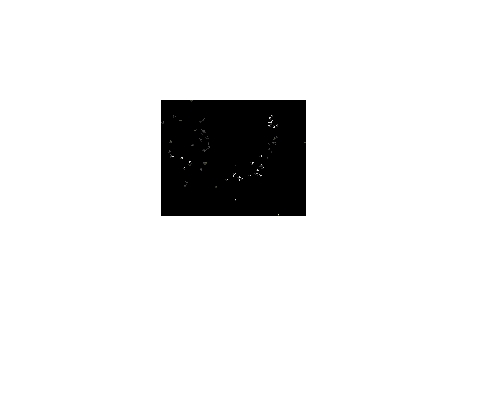 f:id:Raspberly:20200423200634g:plain f:id:Raspberly:20200423200634g:plain