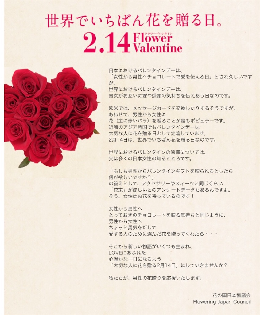 f:id:RaumNaturlly:20190205233143j:image