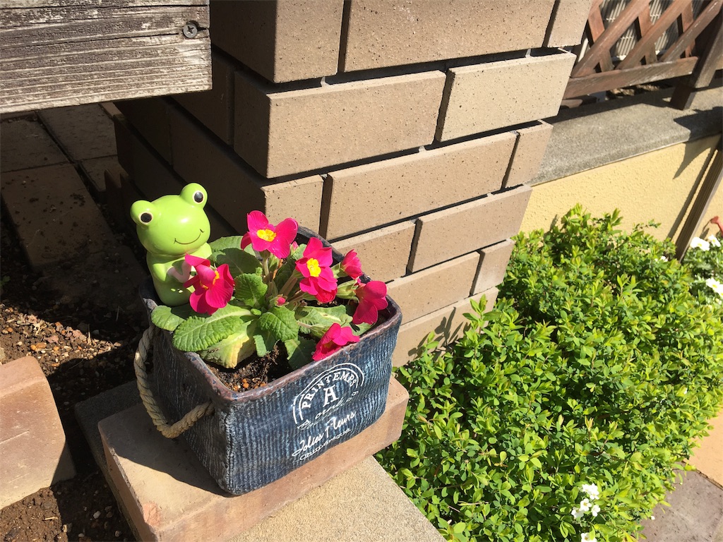 f:id:RaumNaturlly:20190318125245j:image
