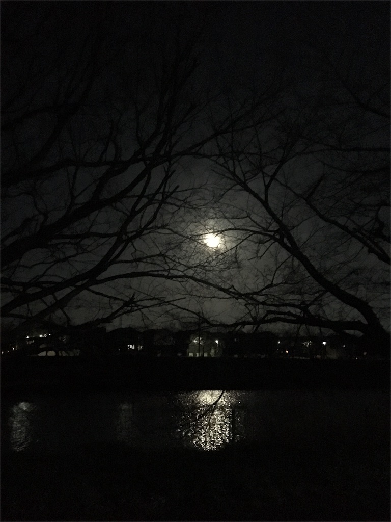f:id:RaumNaturlly:20190323230447j:image