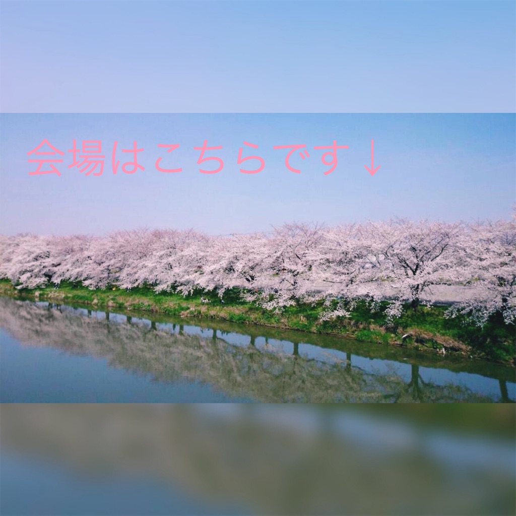 f:id:RaumNaturlly:20190324082414j:image