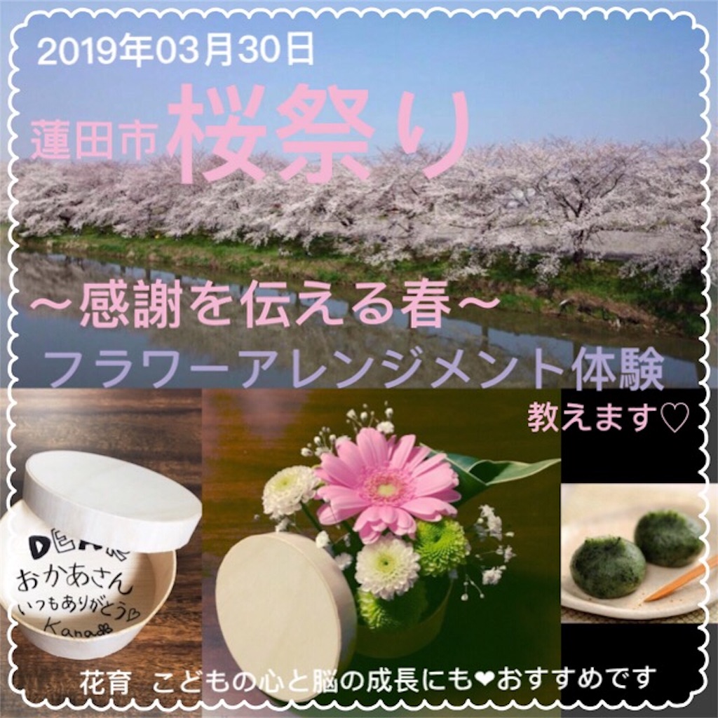f:id:RaumNaturlly:20190324083102j:image
