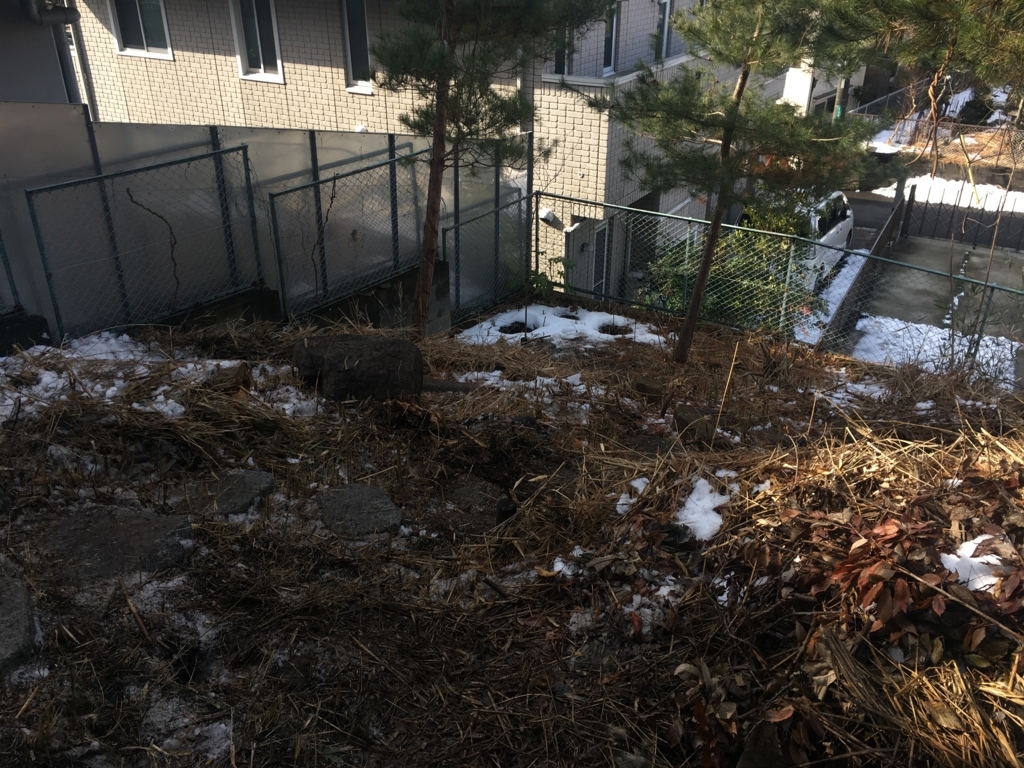 f:id:Ray0225chang:20180209115957j:plain