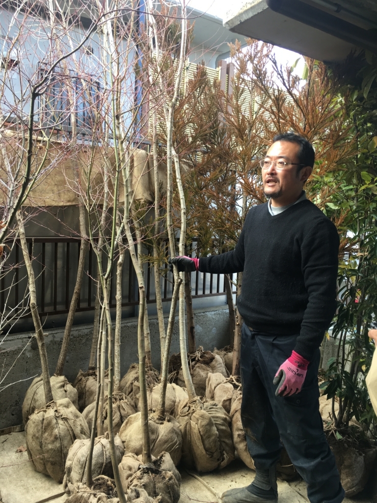 f:id:Ray0225chang:20180220145527j:plain