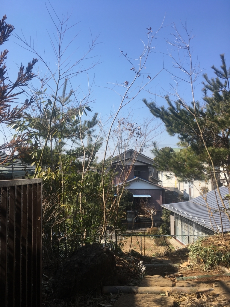 f:id:Ray0225chang:20180220150119j:plain