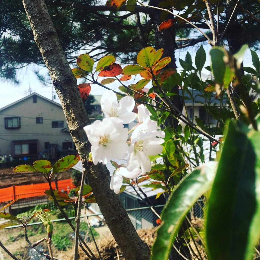 f:id:Ray0225chang:20180329213408j:plain