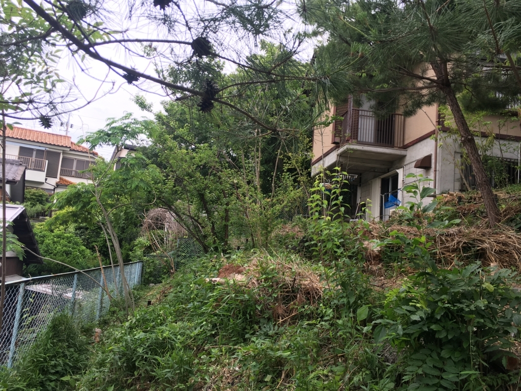 f:id:Ray0225chang:20180522185336j:plain f:id:Ray0225chang:20180522185336j:plain