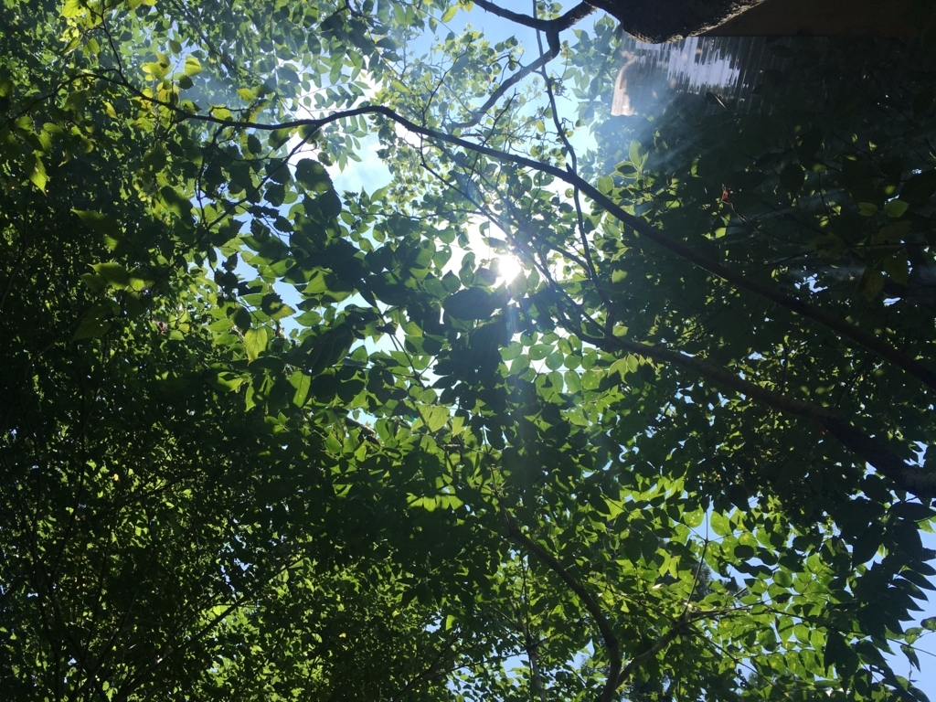 f:id:Ray0225chang:20180523095523j:plain f:id:Ray0225chang:20180523095523j:plain