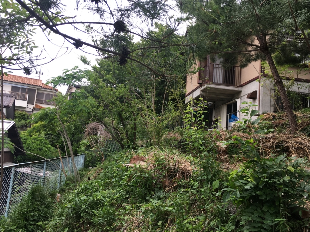 f:id:Ray0225chang:20180625100109j:plain f:id:Ray0225chang:20180625100109j:plain