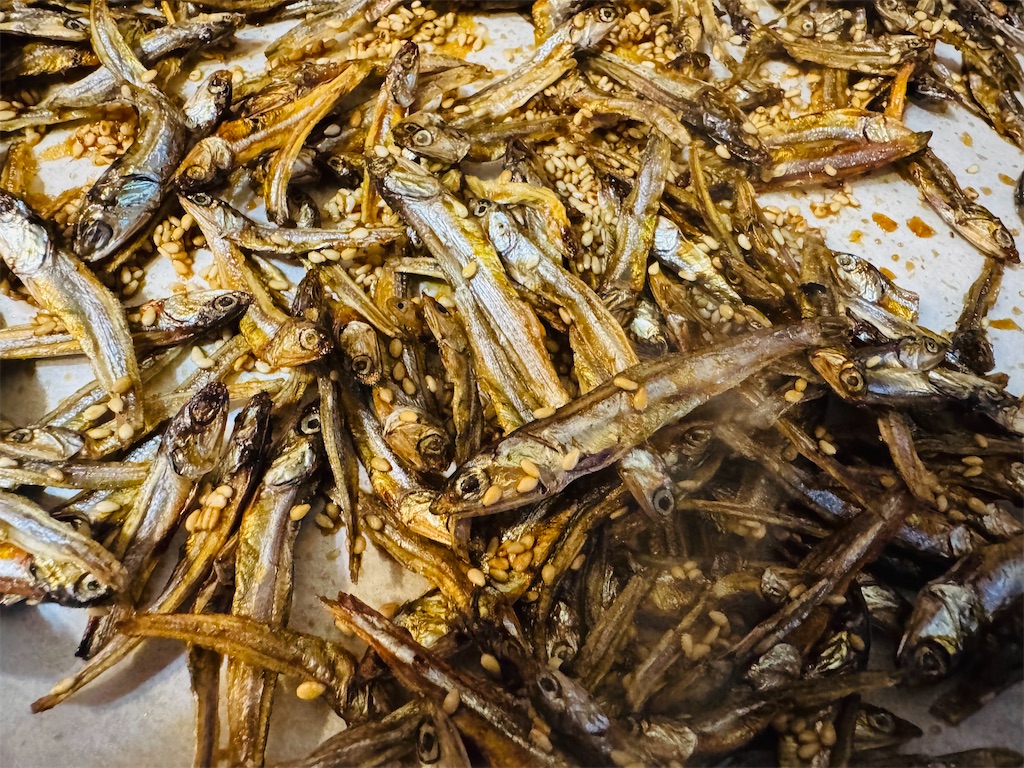 f:id:Rayato:20241231203732j:image