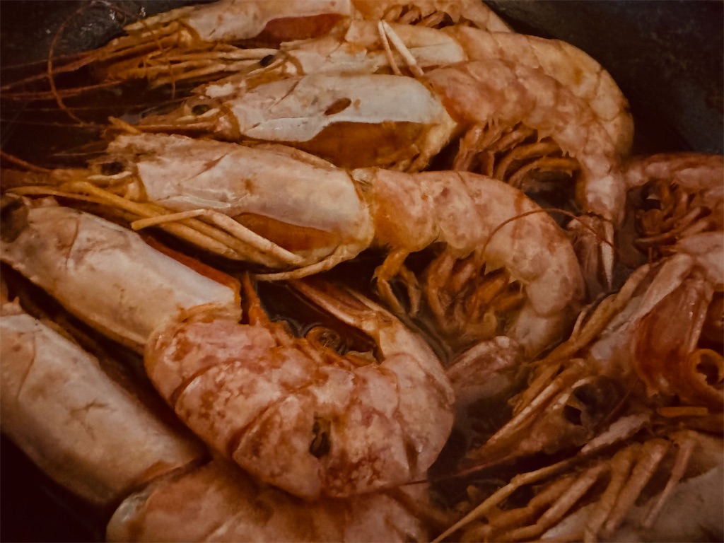 f:id:Rayato:20241231203738j:image