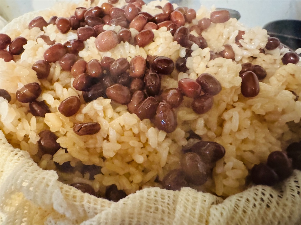 f:id:Rayato:20241231203802j:image