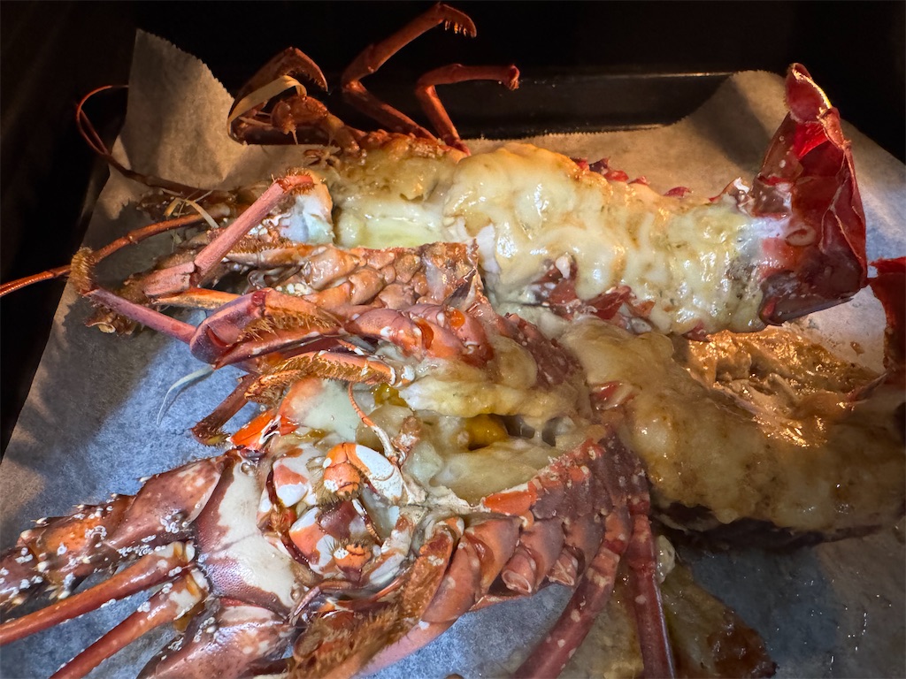 f:id:Rayato:20241231203808j:image