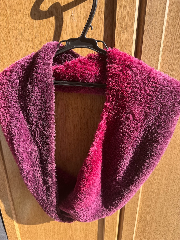 f:id:Rayato:20250116222609j:image