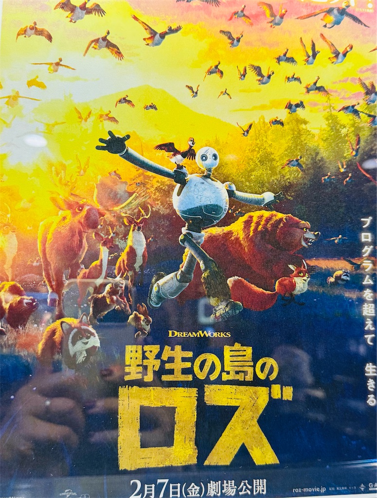 f:id:Rayato:20250222231712j:image