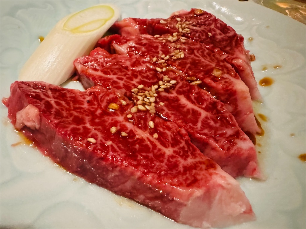 f:id:Rayato:20250301210831j:image