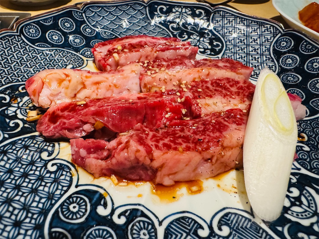 f:id:Rayato:20250301210834j:image