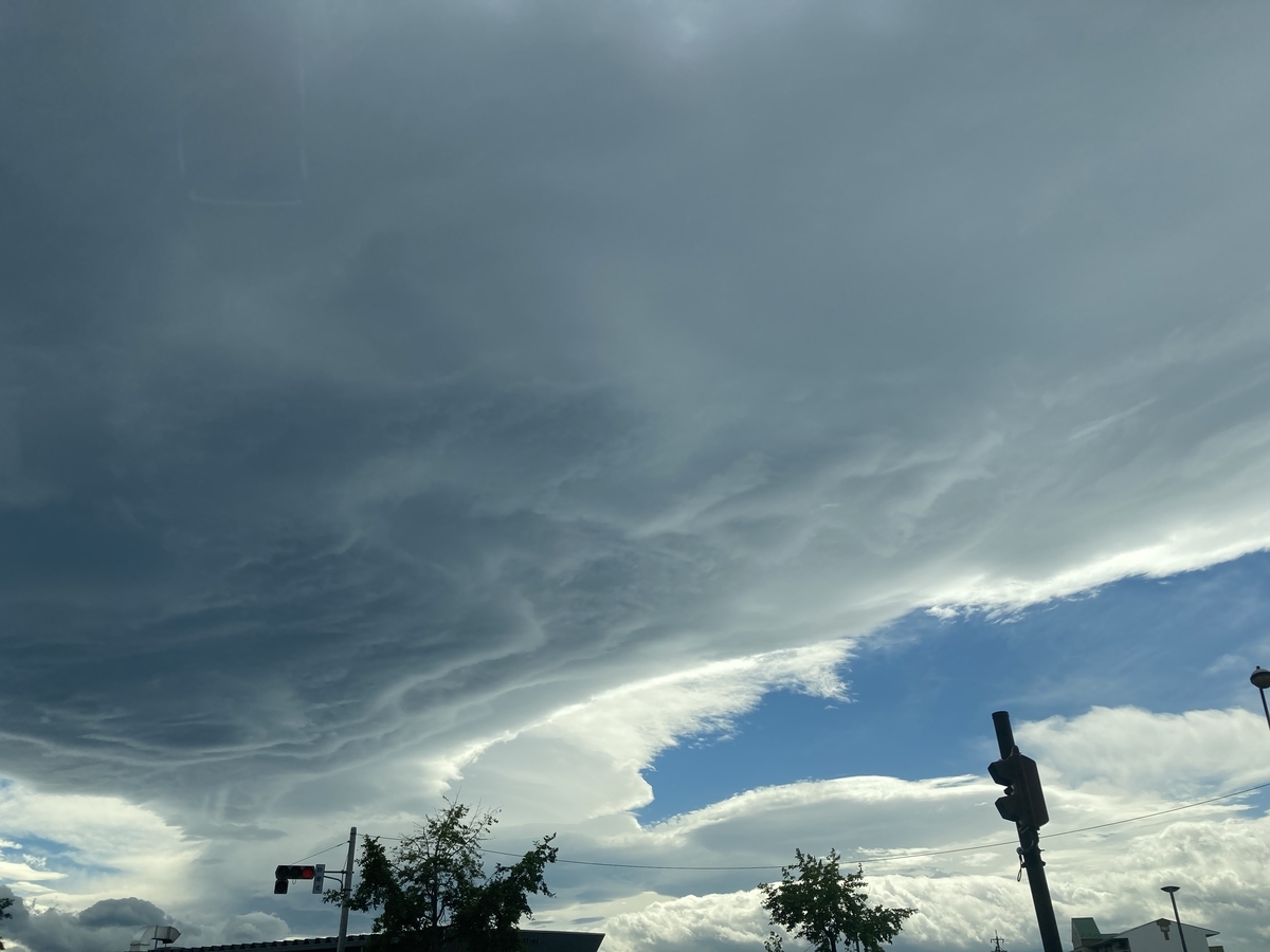 f:id:Rayleonard-00:20201227193419j:plain