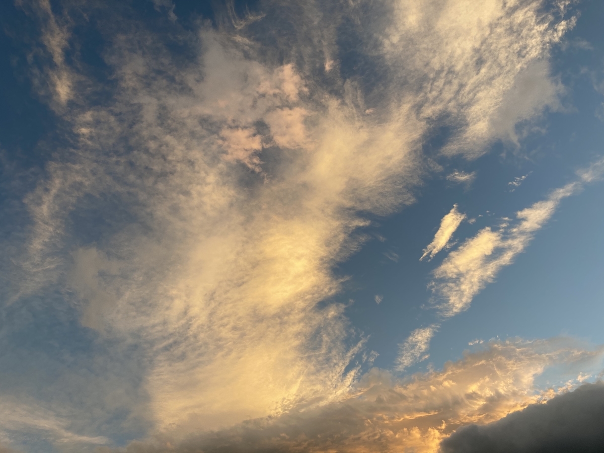 f:id:Rayleonard-00:20201228211737j:plain