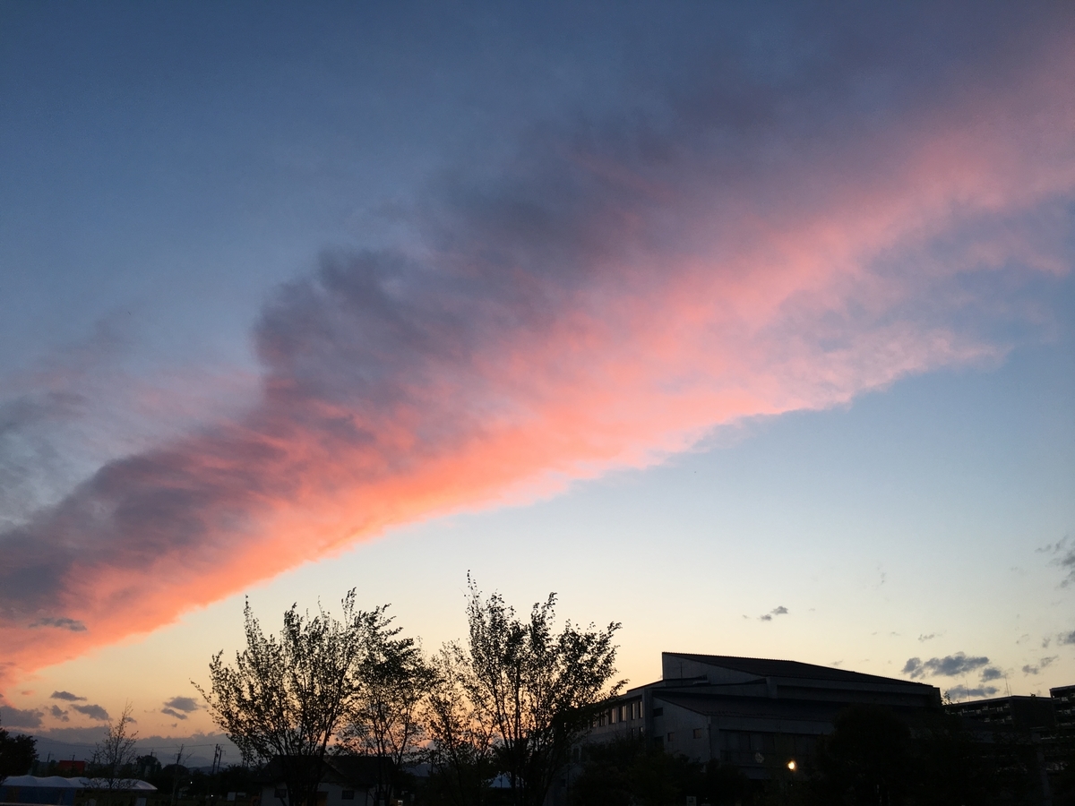 f:id:Rayleonard-00:20210105185637j:plain